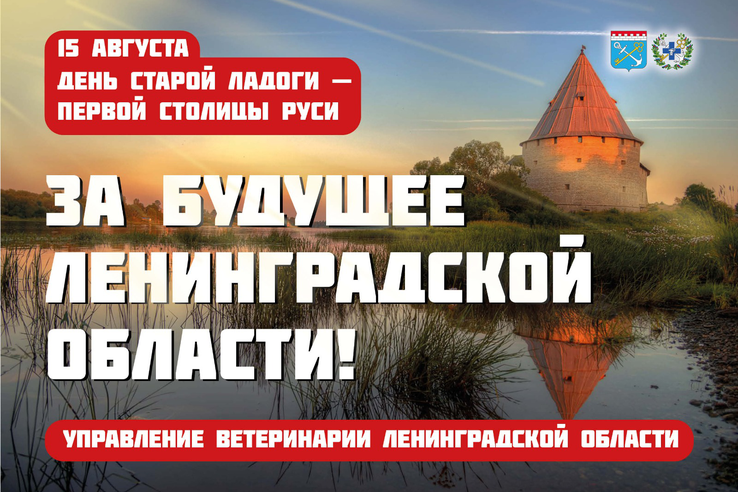 2419ce7471fd04064c68673df1e3000a