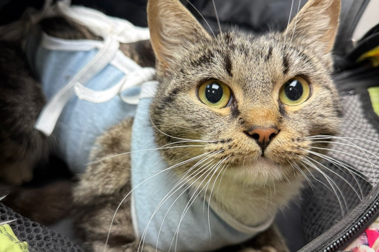 378ad7e59df15a9e154283cf82519a47