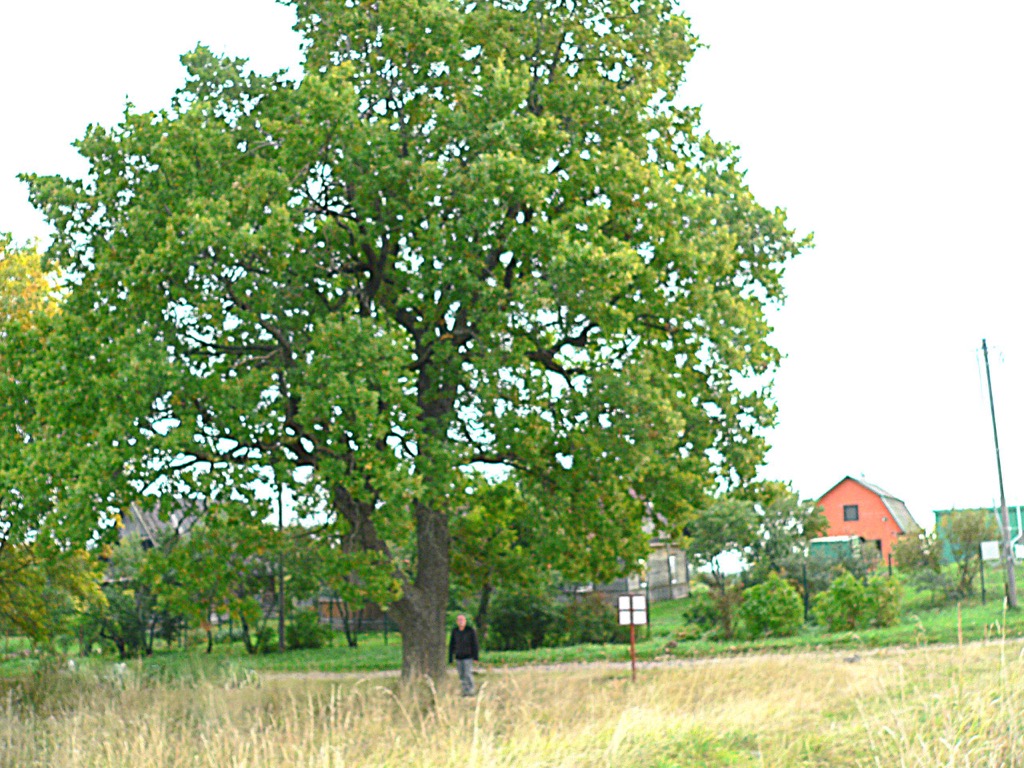 864a