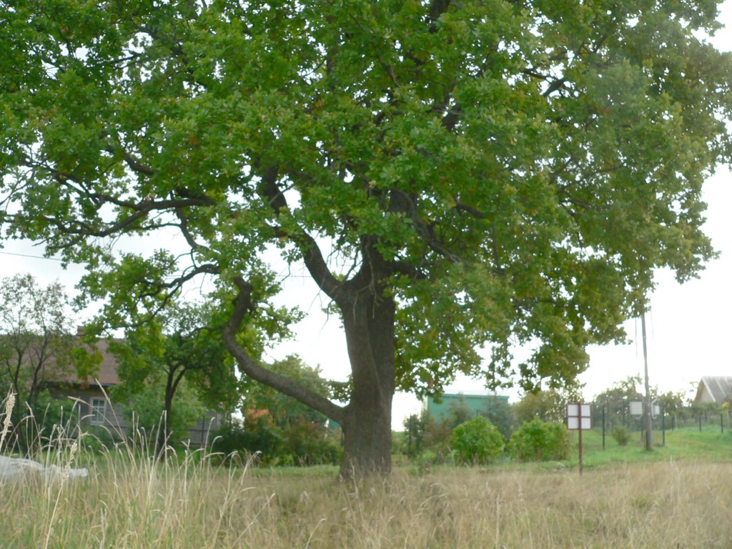 864b