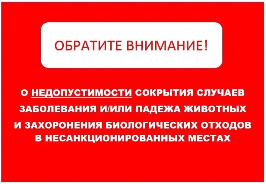 vnimanie