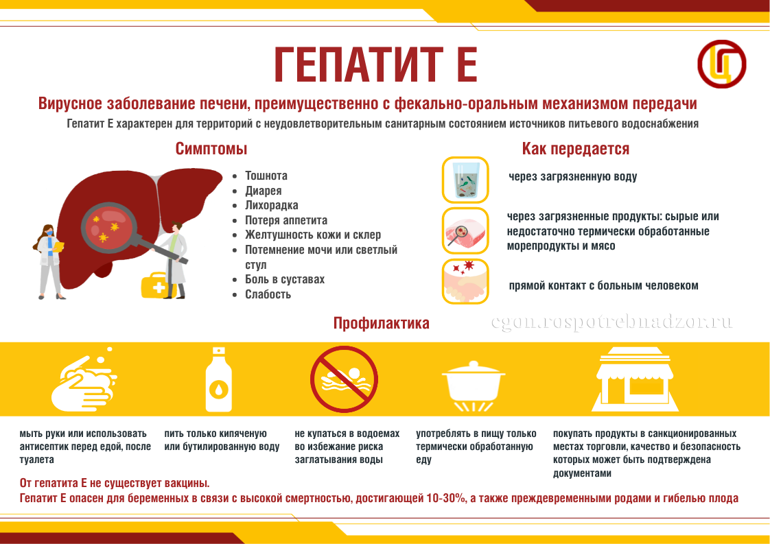Гепатит Е 