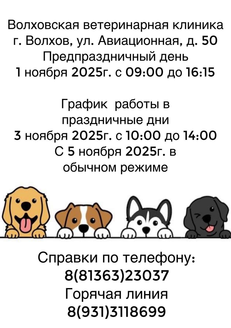 волхов график