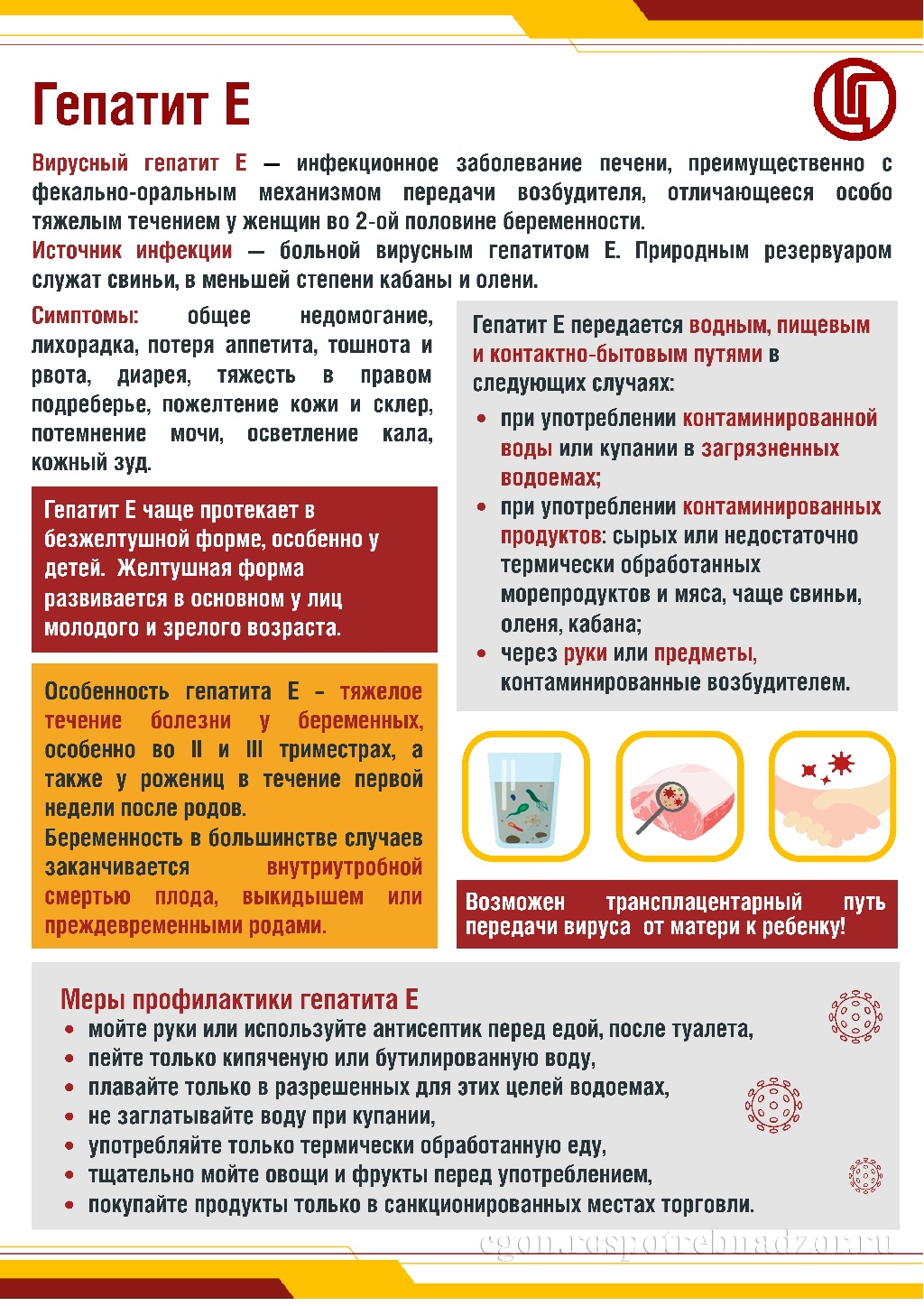 гапатиит е