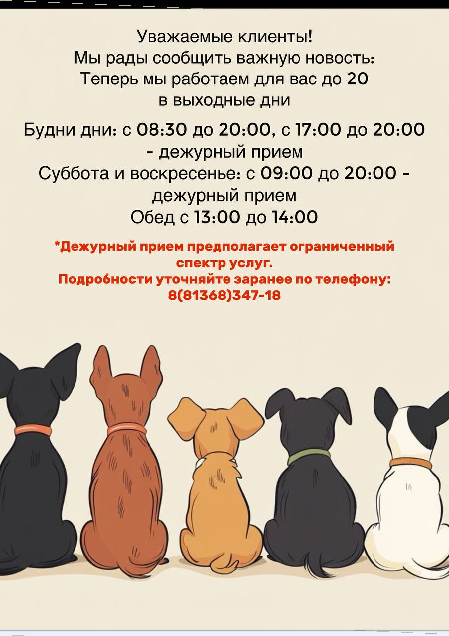 график кириши