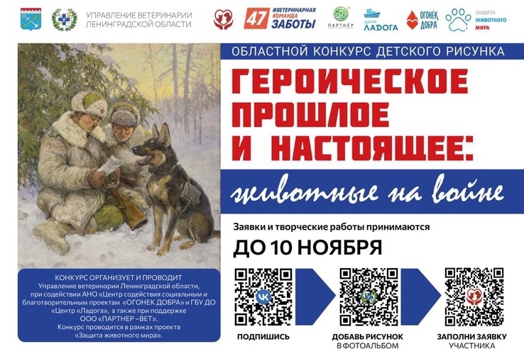 животные на войне