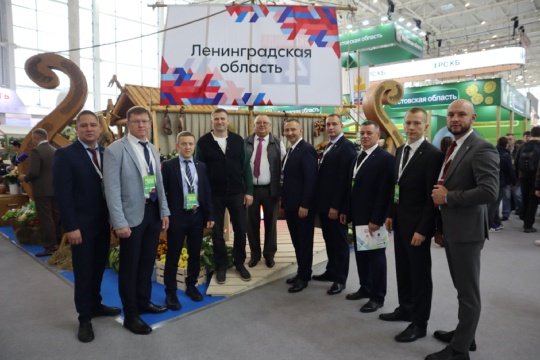 зол осень