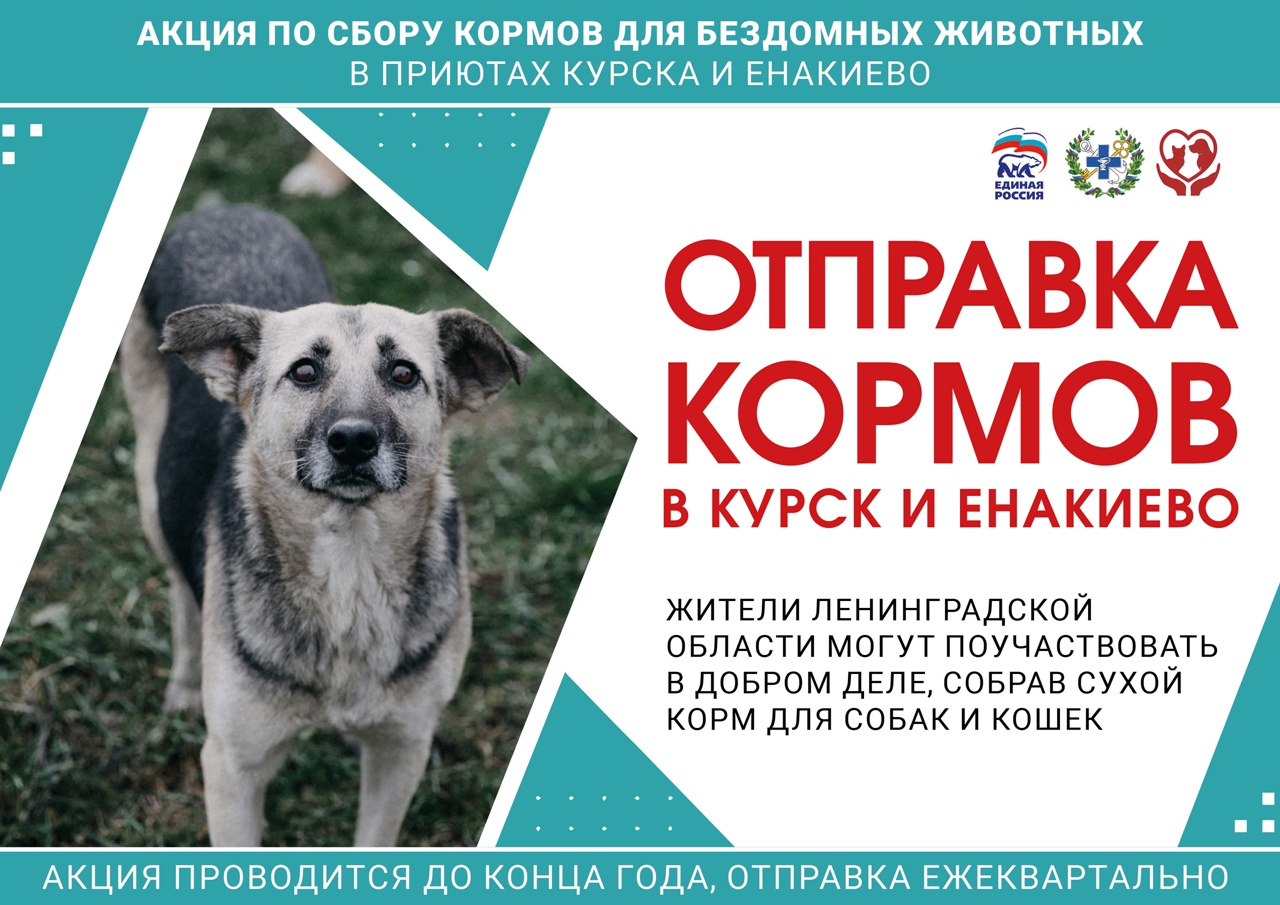корм