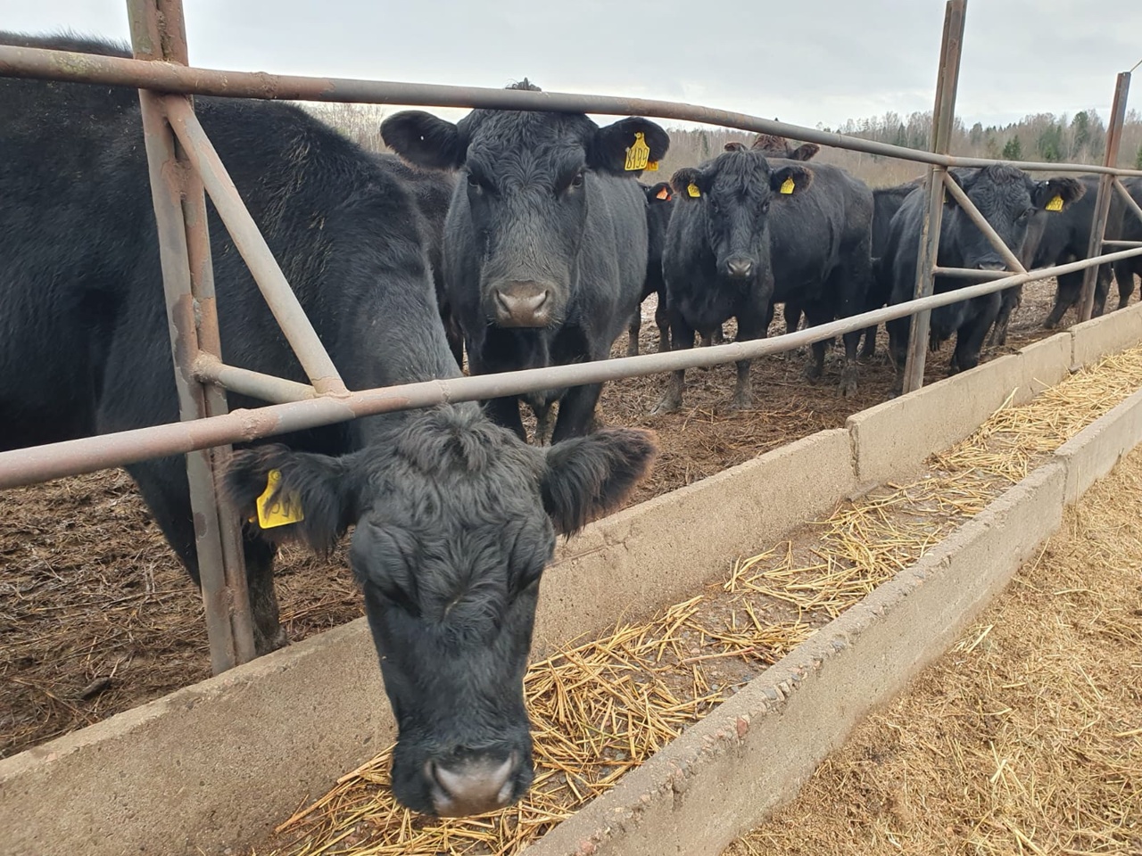 крс обработка