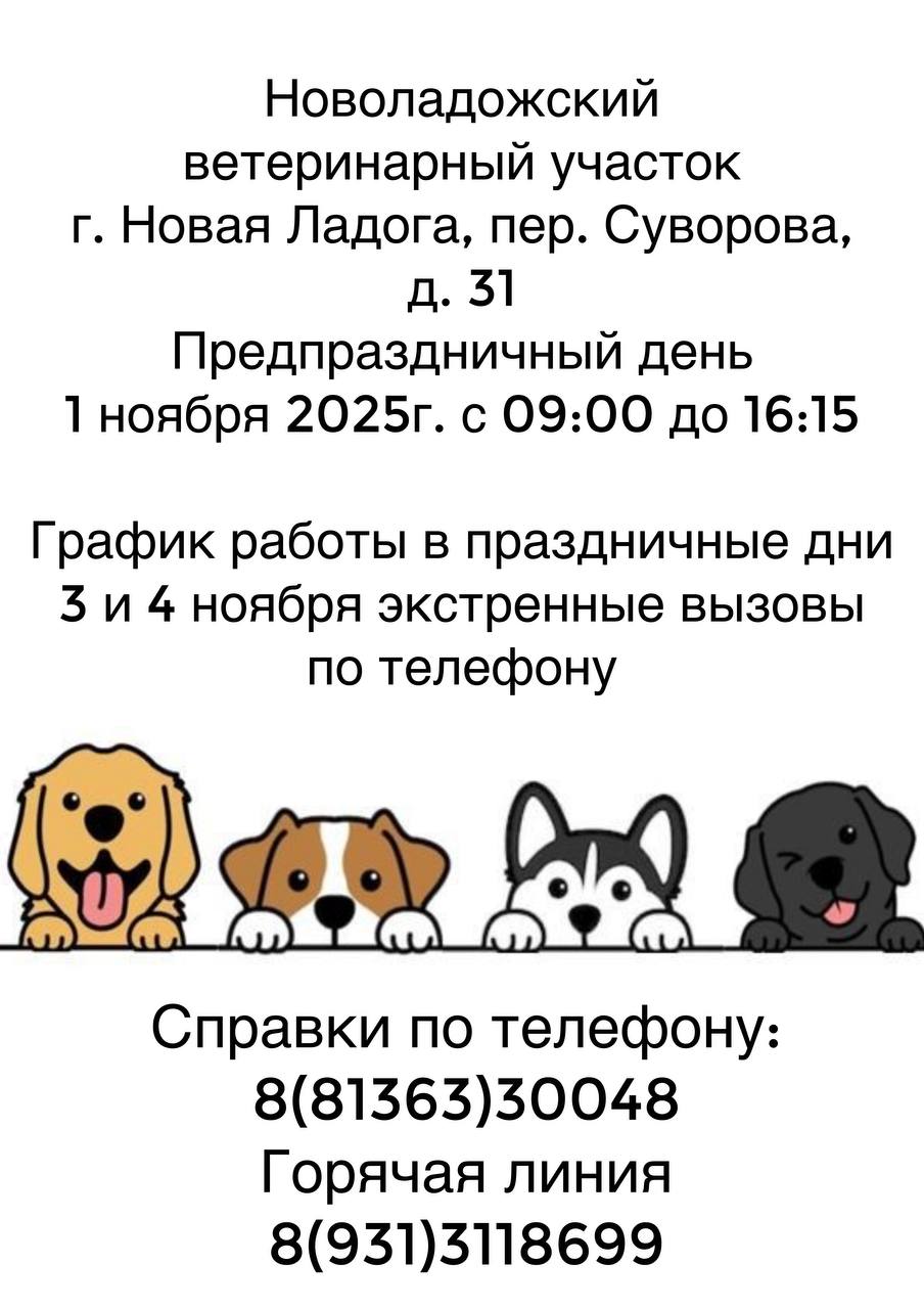 ладога график